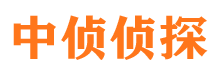 鹿泉商务调查